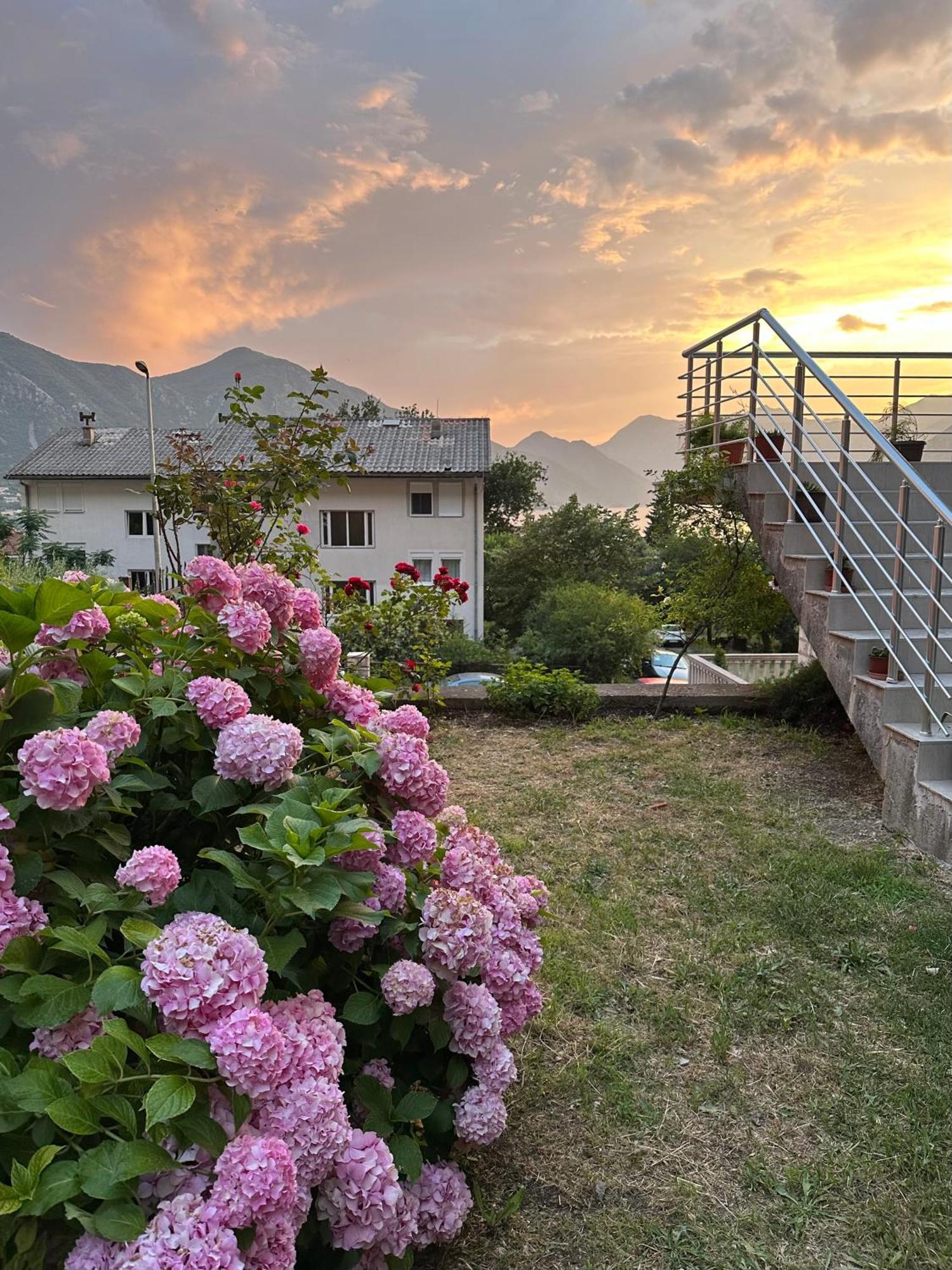 Sunny Apartment Kotor Exterior foto